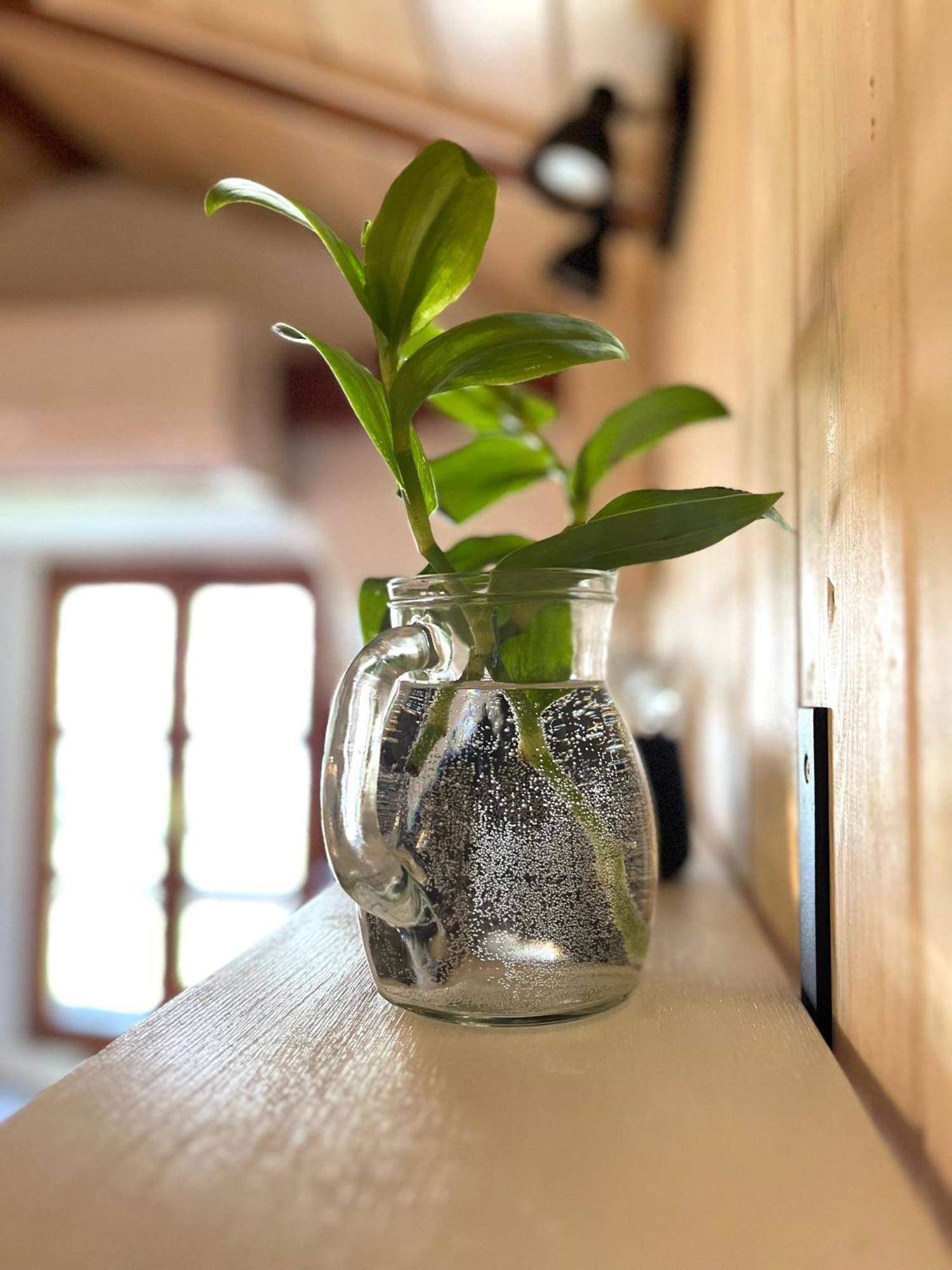 Healthystudio512 Apartments Котор Екстериор снимка
